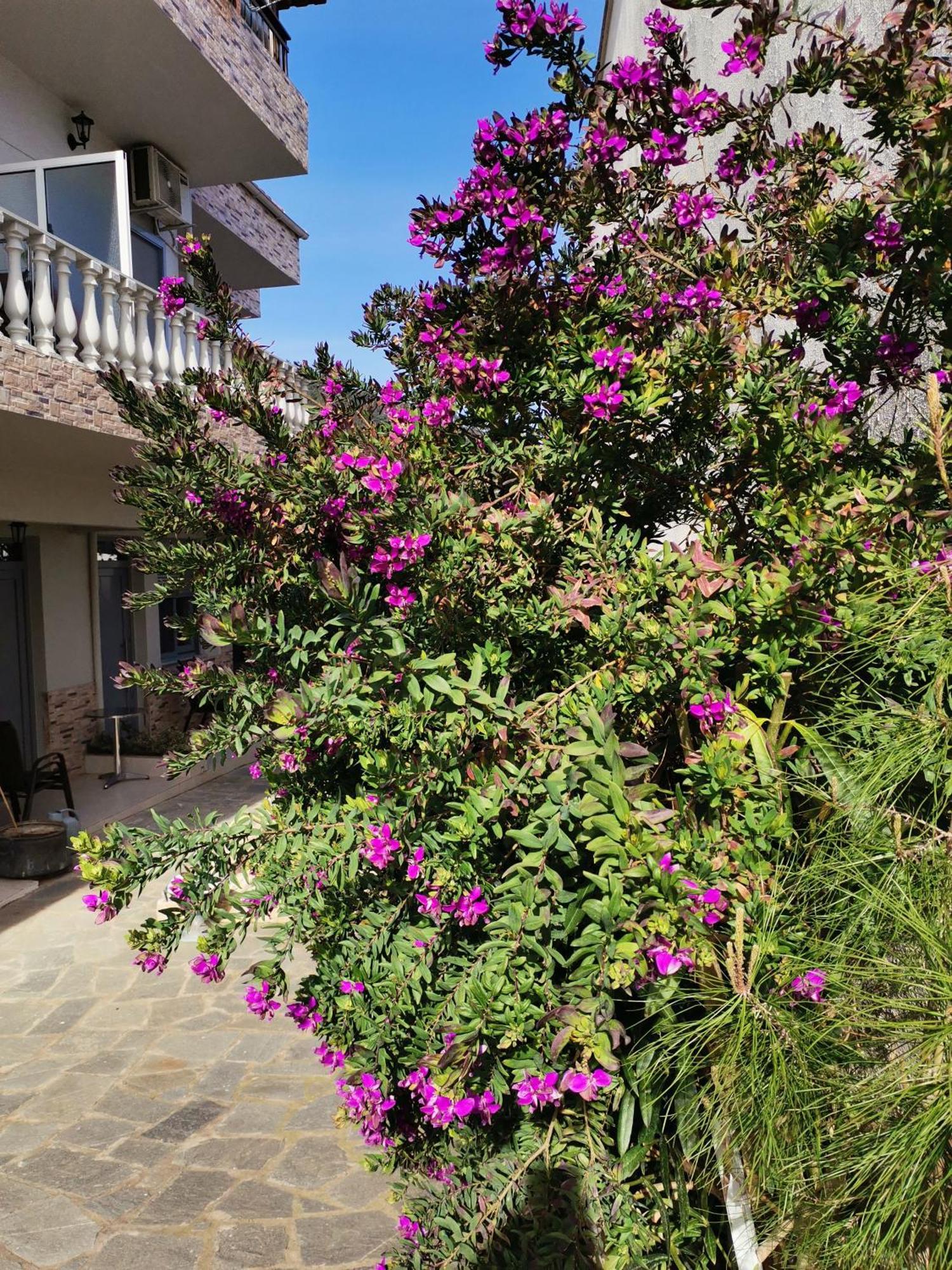 Studios Lia Adults Only -Fully Renovated Chrysi Ammoudia Bagian luar foto